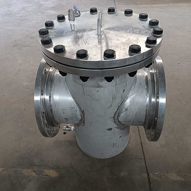 4103C泵進口籃式過濾器-(1)