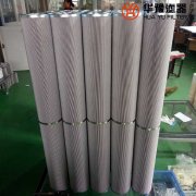 華豫生產電廠西德福雙聯管路濾芯LS003L10B